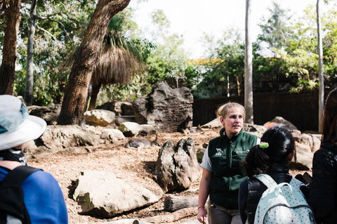 Sydney Taronga Zoo General Entry Ticket And Wild Australia Experience - Accommodation Broome 8