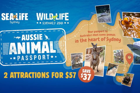Sydney Attractions Pass: SEA LIFE Aquarium, Sydney Tower Eye, WILD LIFE Zoo And Madame Tussauds - Accommodation Broome 4
