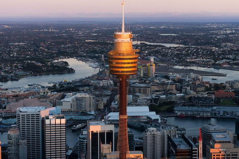 Sydney Attractions Pass: SEA LIFE Aquarium, Sydney Tower Eye, WILD LIFE Zoo And Madame Tussauds - Accommodation Broome 8