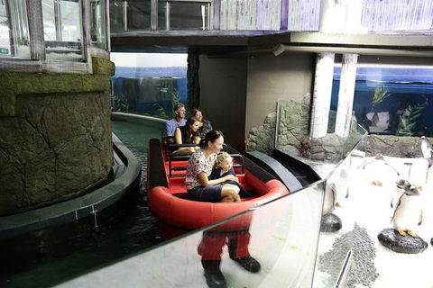 Sydney Attractions Pass: SEA LIFE Aquarium, Sydney Tower Eye, WILD LIFE Zoo And Madame Tussauds - Accommodation Broome 6