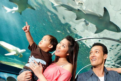Sydney Shore Excursion: SEA LIFE Sydney Aquarium Entrance Ticket - Accommodation Broome 3