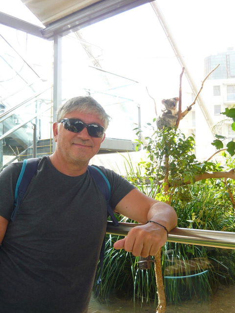 Sydney Pass: SEA LIFE Aquarium, Sydney Tower Eye, WILD LIFE Sydney, Sydney Harbour Cruise, And Madame Tussauds - Accommodation Broome 3