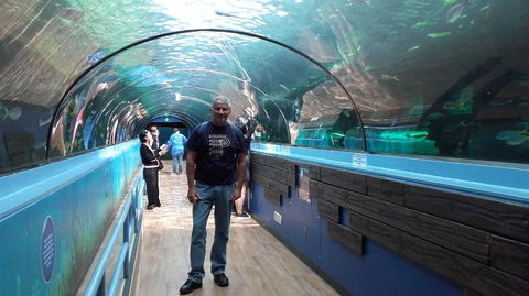 Sydney Pass: SEA LIFE Aquarium, Sydney Tower Eye, WILD LIFE Sydney, Sydney Harbour Cruise, And Madame Tussauds - Accommodation Broome 5