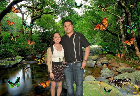 Sydney Pass: SEA LIFE Aquarium, Sydney Tower Eye, WILD LIFE Sydney, Sydney Harbour Cruise, And Madame Tussauds - Accommodation Broome 11