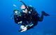 Sydney Guided Shore Dive - thumb 1