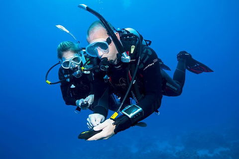 Sydney Guided Shore Dive - Accommodation Broome 1