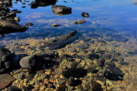 The Eurobodalla Experience (Full Day Private Tour Including Lunch) - Accommodation Broome 14