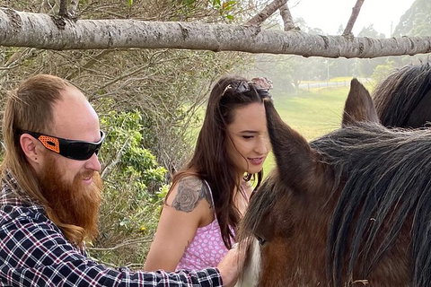 The Eurobodalla Experience (Full Day Private Tour Including Lunch) - Accommodation Broome 23