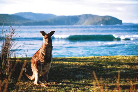 The Eurobodalla Experience (Full Day Private Tour Including Lunch) - Accommodation Broome 7