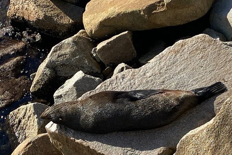 The Eurobodalla Experience (Full Day Private Tour Including Lunch) - Accommodation Broome 8