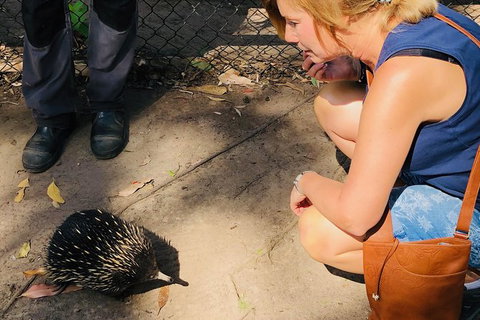 The Eurobodalla Experience (Full Day Private Tour Including Lunch) - Accommodation Broome 18