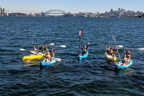 Sydney Harbour Sea Kayak Tour - Accommodation Broome 1
