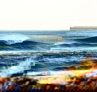7-Day Byron Bay Evans Head and Moonee Beach Surf Safari from Brisbane Gold Coast or Byron Bay - Accommodation Broome