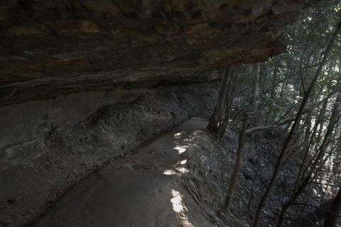 Private Blue Mountains Insider Tour From Sydney - Accommodation Broome 25