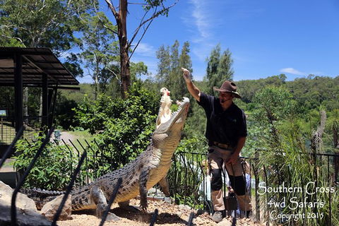 Private Shoalhaven Zoo Experience From Sydney - Accommodation Broome 0