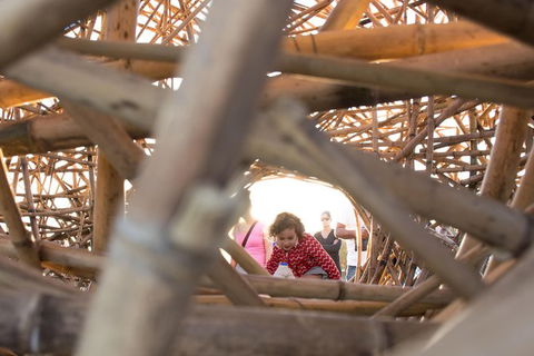 Family Day In Sydney With A Local: Private & Personalized - Accommodation Broome 7