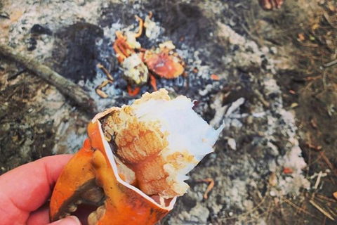 Pot To Plate Adventure - Accommodation Broome 4
