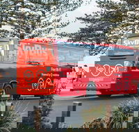 SkyBus Byron Bay Express - Accommodation Broome