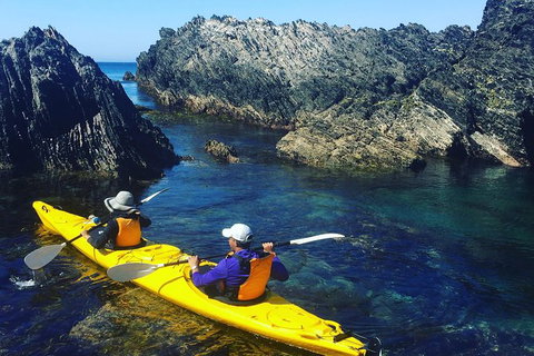 Half Day Sea Kayak Tour From Batemans Bay - Accommodation Broome 1