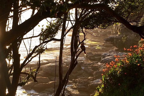Private Luxury Quintessential Sydney Day Tour - Accommodation Broome 3
