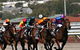 Sydney Harbour Melbourne Cup Cruise - thumb 0