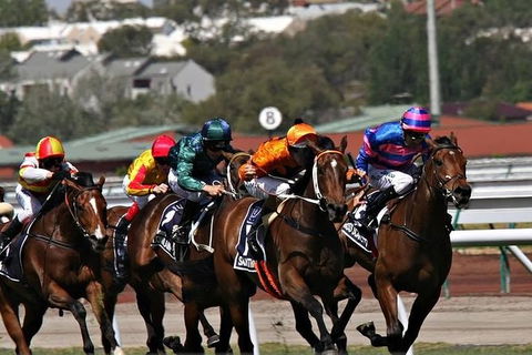 Sydney Harbour Melbourne Cup Cruise - Accommodation Broome 0