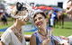 Sydney Harbour Melbourne Cup Cruise - thumb 5