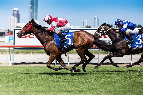Sydney Harbour Melbourne Cup Cruise - Accommodation Broome 2