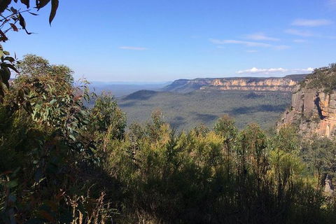 All-Day Blue Mountains Private Tour With Professional Guide For Up To 4 People - Accommodation Broome 4