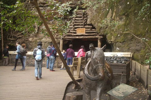 All-Day Blue Mountains Private Tour With Professional Guide For Up To 4 People - Accommodation Broome 9