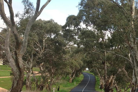All-Day Blue Mountains Private Tour With Professional Guide For Up To 4 People - Accommodation Broome 22