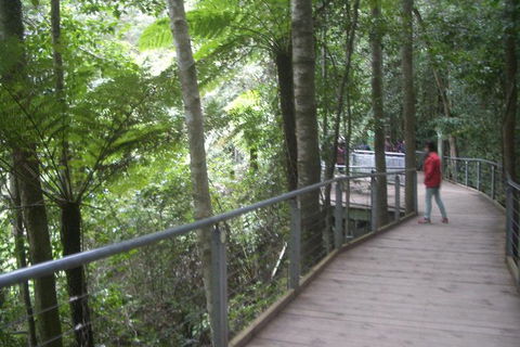 All-Day Blue Mountains Private Tour With Professional Guide For Up To 4 People - Accommodation Broome 20