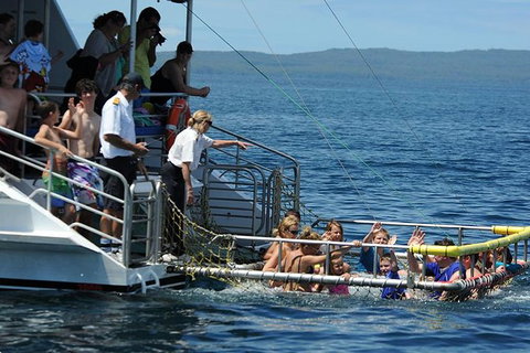 Jervis Bay Boom Netting And Dolphins Tour - Accommodation Broome 1