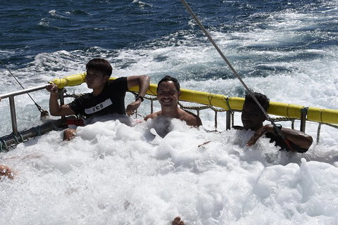 Jervis Bay Boom Netting And Dolphins Tour - Accommodation Broome 9