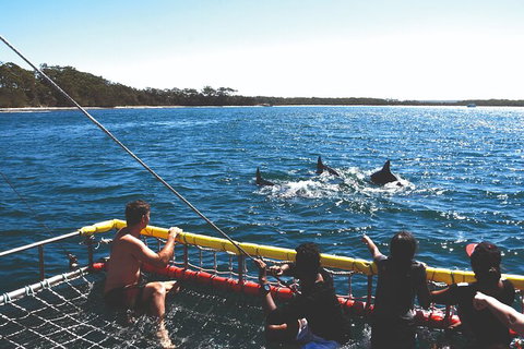 Jervis Bay Boom Netting And Dolphins Tour - Accommodation Broome 2