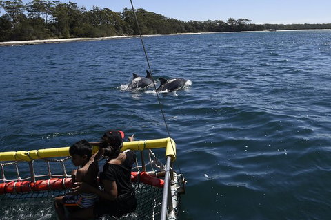 Jervis Bay Boom Netting And Dolphins Tour - Accommodation Broome 6