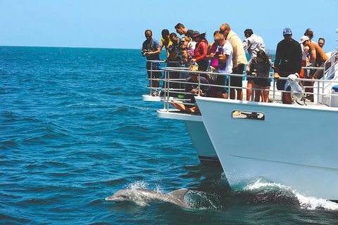 Jervis Bay Boom Netting And Dolphins Tour - Accommodation Broome 10