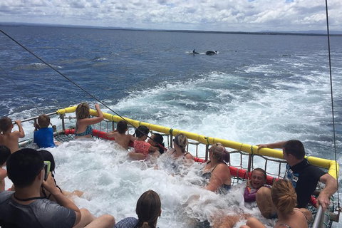 Jervis Bay Boom Netting And Dolphins Tour - Accommodation Broome 14