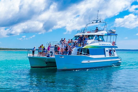 Jervis Bay Boom Netting And Dolphins Tour - Accommodation Broome 3