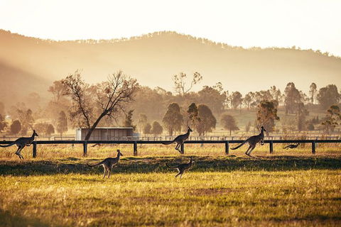 Private Luxury Hunter Valley Day Tour From Sydney - Accommodation Broome 3