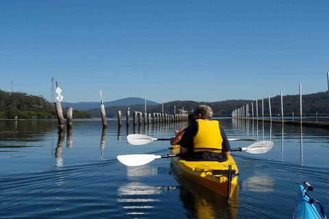 Batemans Bay Oyster Tasting Kayak Tour - Accommodation Broome 0