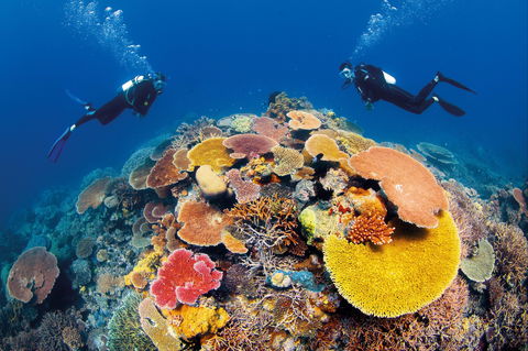 Agincourt Reef - Accommodation Broome 0