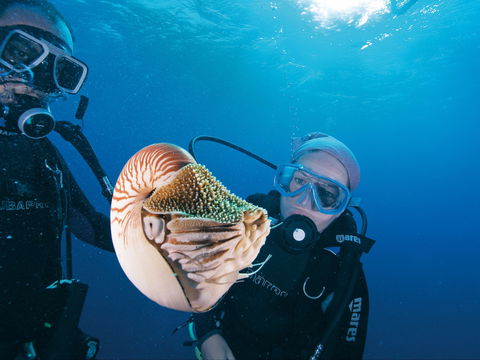 Agincourt Reef - Accommodation Broome 1
