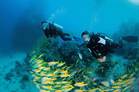 Agincourt Reef - Accommodation Broome 2