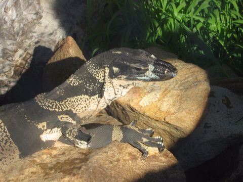 Armadale Reptile Centre - Accommodation Broome 0