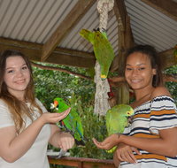 Birdworld Kuranda - Accommodation Broome