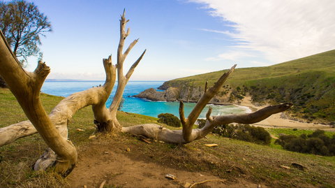 Blowhole Beach - Accommodation Broome 0