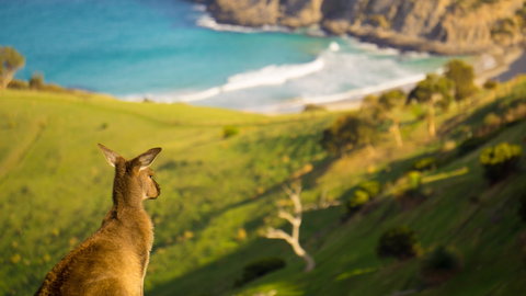 Blowhole Beach - Accommodation Broome 1