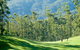 Bonville Golf Resort - thumb 0
