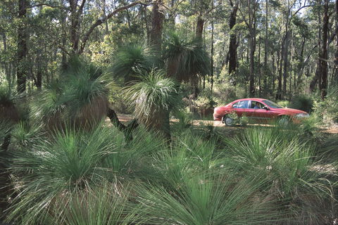 Bridgetown Jarrah Park - Accommodation Broome 0